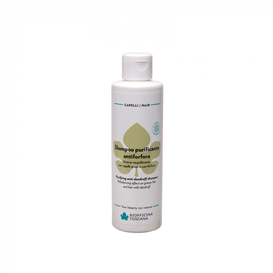 Purifying shampoo concentrate
