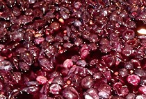 Organic grape skins