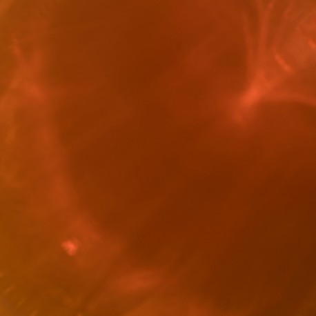 resize_uviox2.jpg